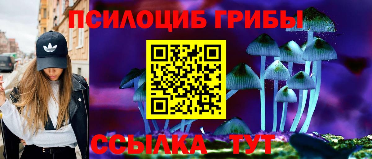 Псилоцибиновые грибы MAGIC MUSHROOMS  Вход с VPN  Волжск 
