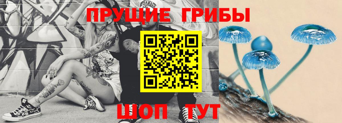 Галлюциногенные грибы Psilocybe Волжск